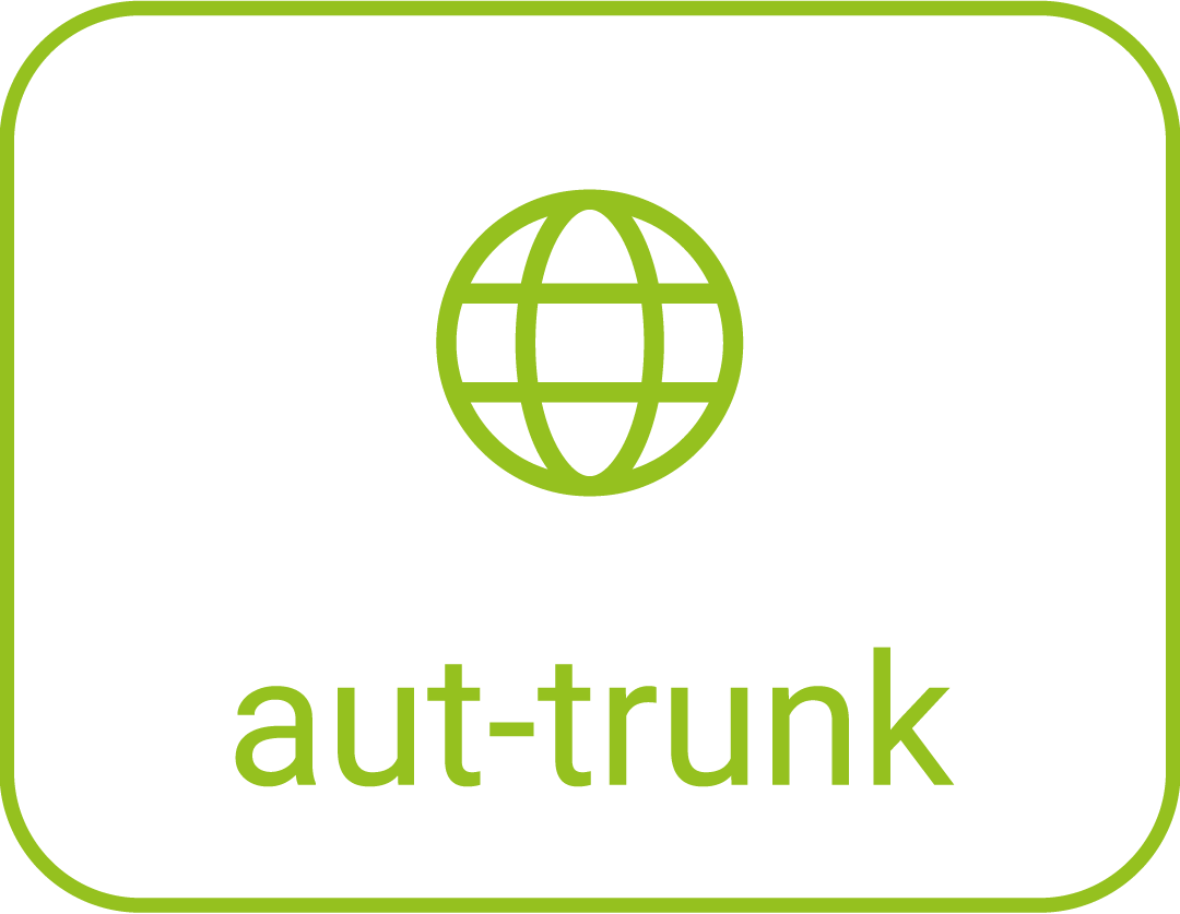 aut-trunk-icon.png